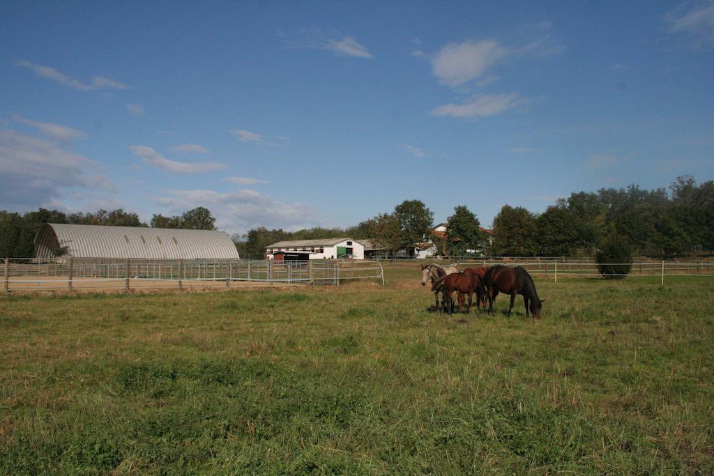 Agriturismo Fano'S Farm Suno Экстерьер фото